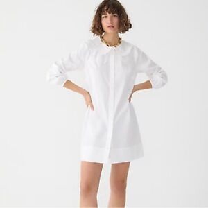 Jcrew ruffle collar shirt dress